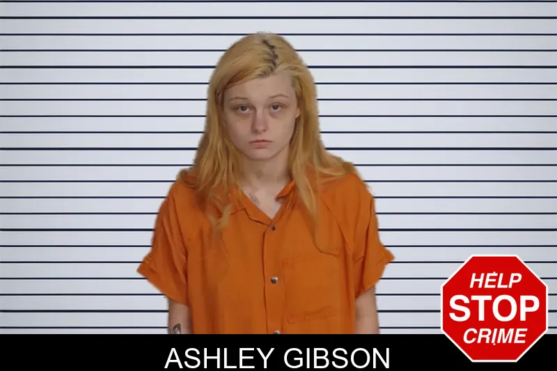 Ashley Gibson mugshot – Rockdale County , Georgia Ashley Gibson mugshot