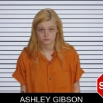 Ashley Gibson mugshot
