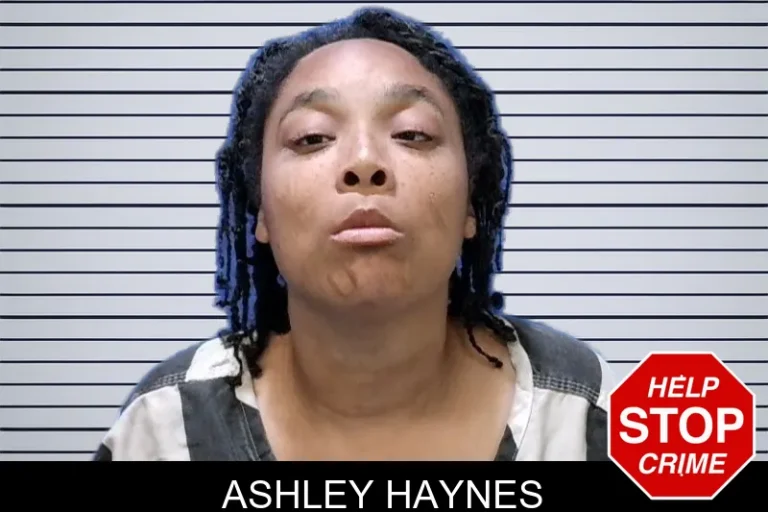 Ashley Haynes
