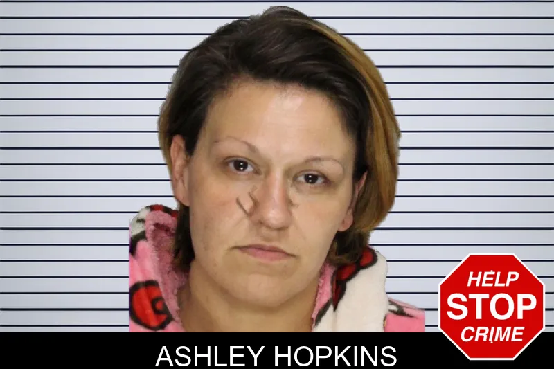 Ashley Hopkins mugshot – Cobb County , Georgia Ashley Hopkins mugshot