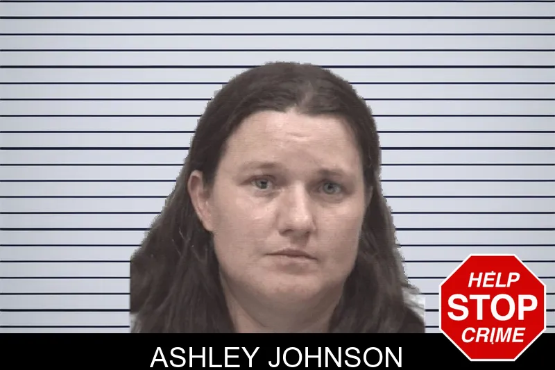 Ashley Johnson mugshot