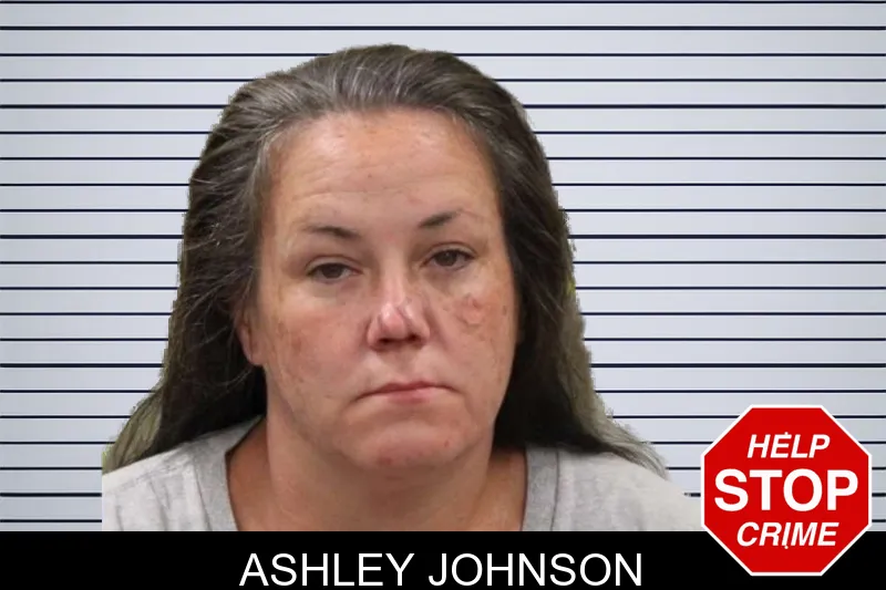 Ashley Johnson mugshot – Heard County , Georgia Ashley Johnson mugshot