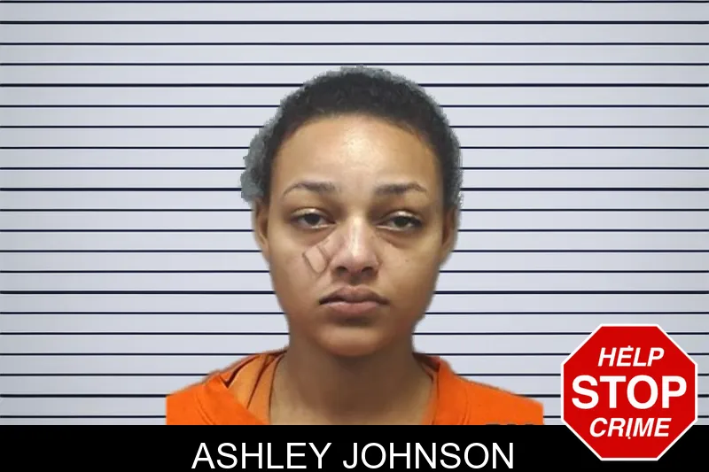 Ashley Johnson mugshot