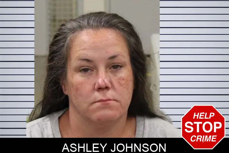 Ashley Johnson mugshot