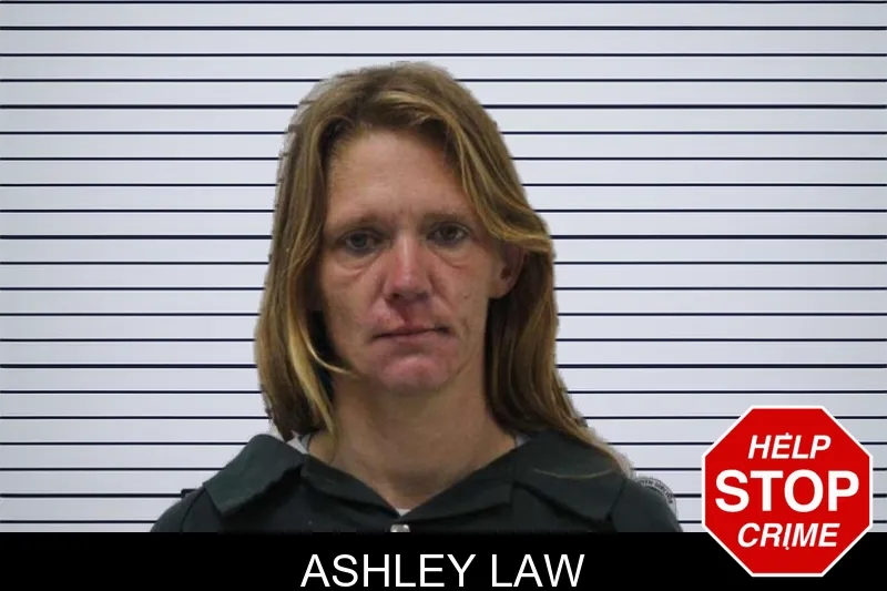 Ashley Law mugshot