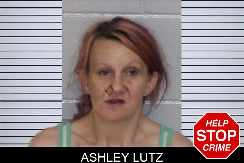 Ashley Lutz mugshot
