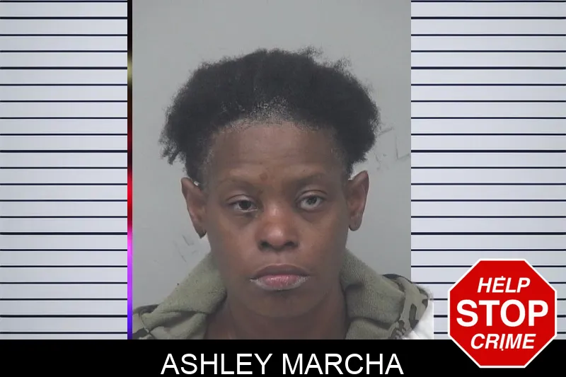 Ashley Marcha mugshot