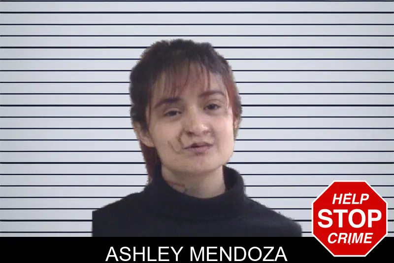 Ashley Mendoza mugshot