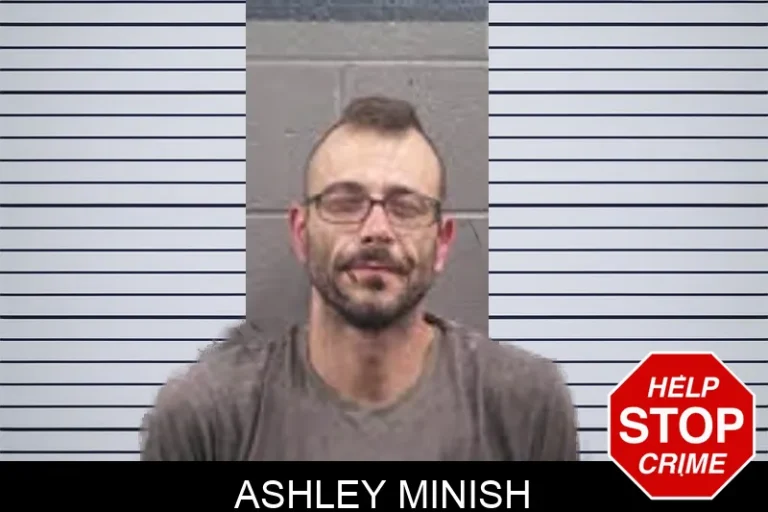 Ashley Minish mugshot – Banks County , Georgia Ashley Minish