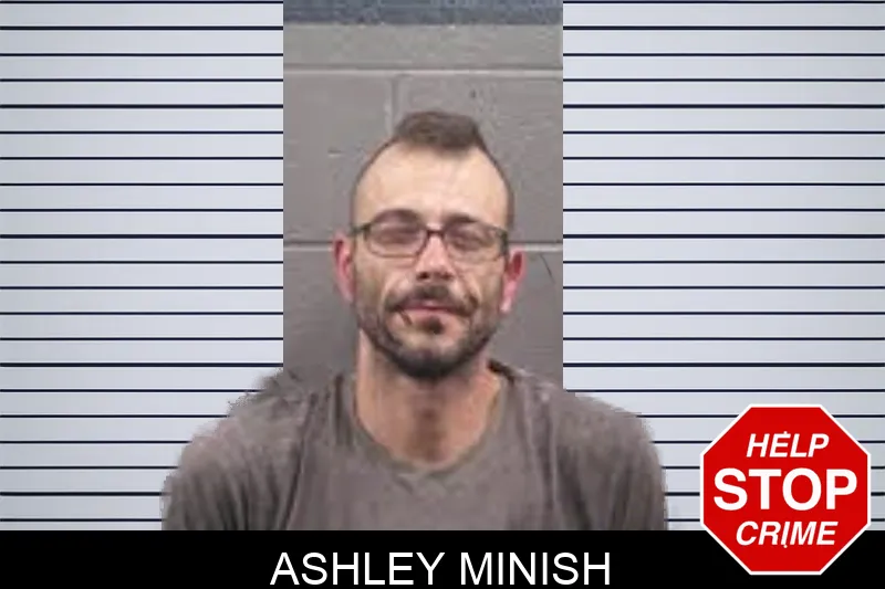 Ashley Minish mugshot