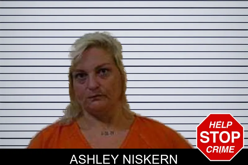 Ashley Niskern mugshot – Polk County , Georgia Ashley Niskern mugshot