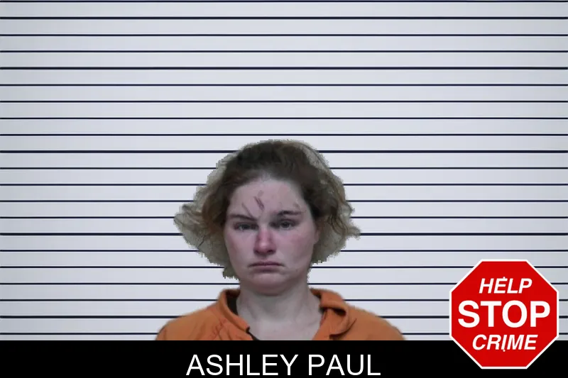 Ashley Paul mugshot – Ben Hill County , Georgia Ashley Paul mugshot