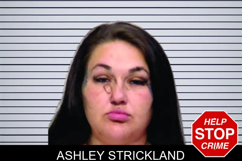 Ashley Strickland mugshot – Bartow County , Georgia Ashley Strickland mugshot