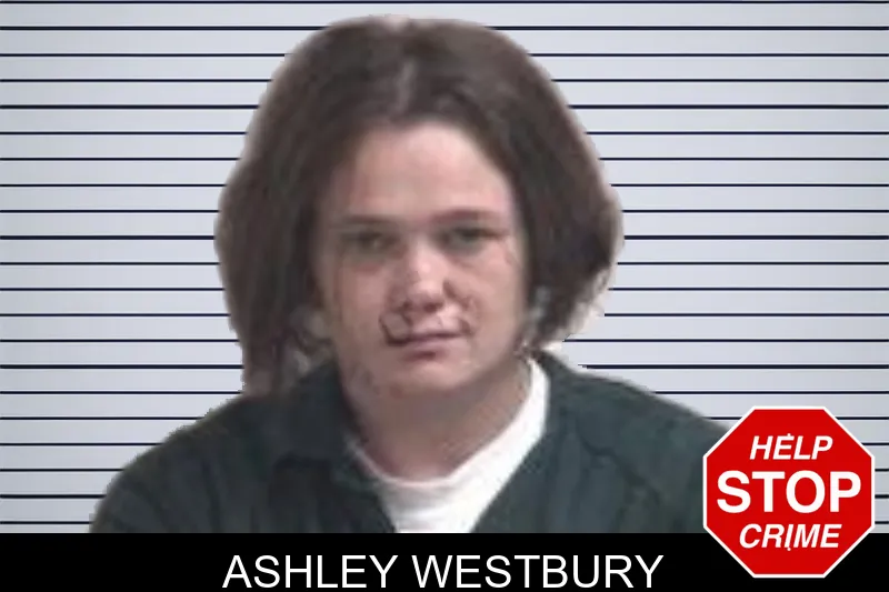 Ashley Westbury mugshot – Henry County , Georgia Ashley Westbury mugshot