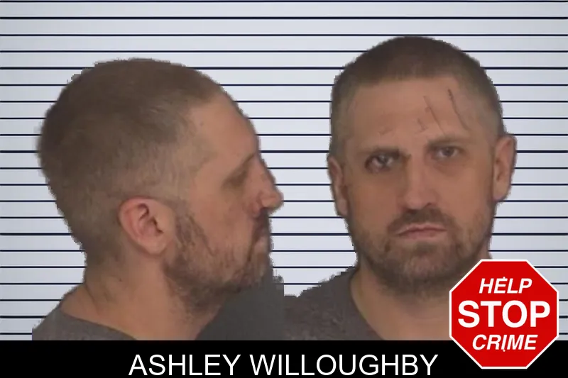 Ashley Willoughby mugshot