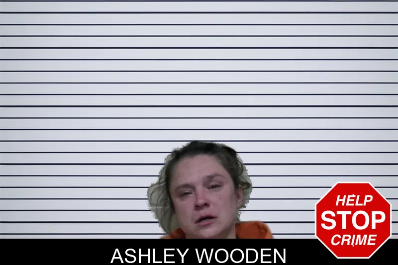 Ashley Wooden mugshot – Ben Hill County , Georgia Ashley Wooden mugshot