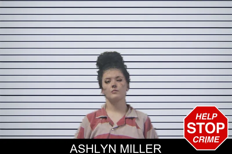 Ashlyn Miller mugshot – Stephens County , Georgia Ashlyn Miller mugshot