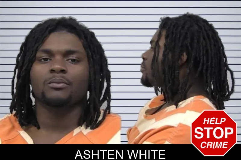 Ashten White mugshot – Paulding County , Georgia Ashten White mugshot