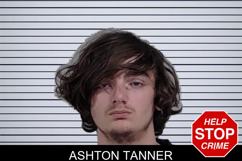 Ashton Tanner mugshot – Lowndes County , Georgia Ashton Tanner mugshot