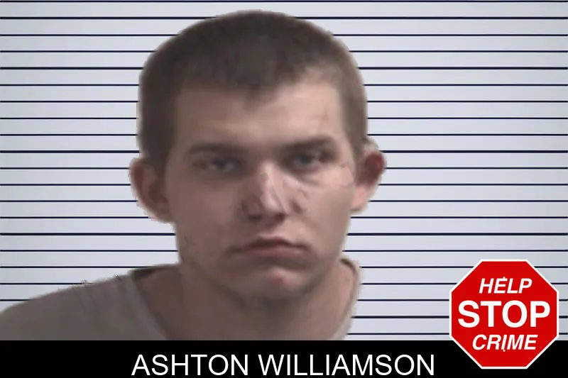Ashton Williamson mugshot