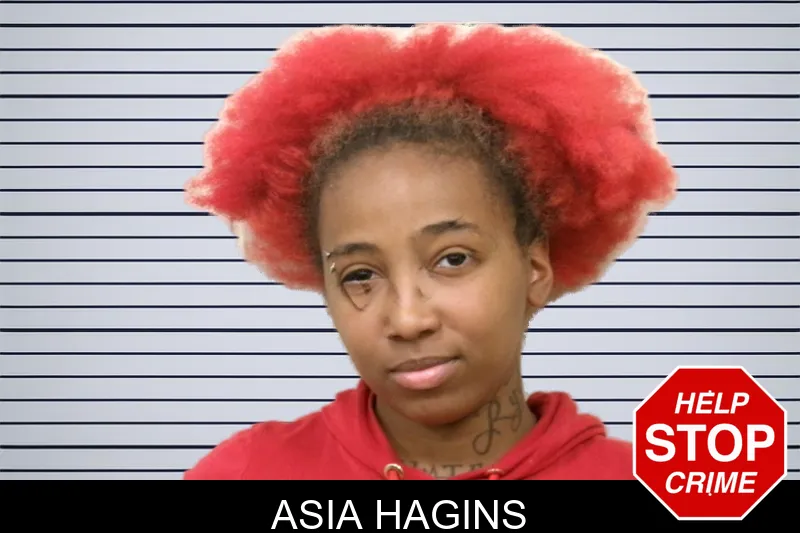 Asia Hagins mugshot – Bulloch County , Georgia Asia Hagins mugshot