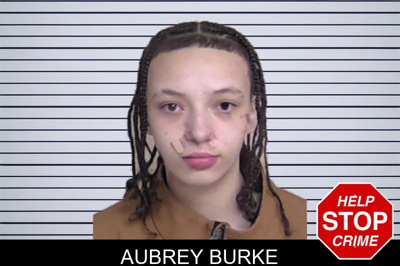 Aubrey Burke mugshot