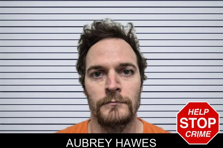 Aubrey Hawes mugshot – Dade County , Georgia Aubrey Hawes