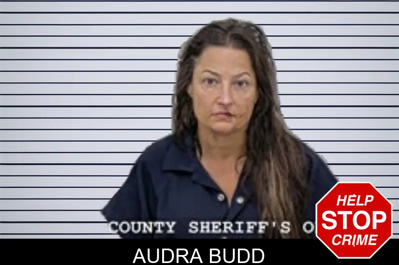 Audra Budd mugshot
