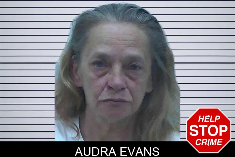 Audra Evans mugshot