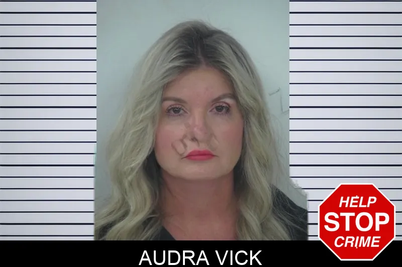 Audra Vick mugshot – Fayette County , Georgia Audra Vick mugshot