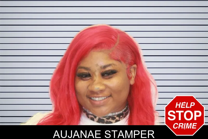 Aujanae Stamper mugshot – Chatham County , Georgia Aujanae Stamper mugshot