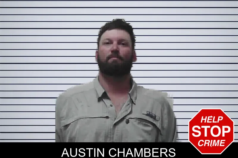 Austin Chambers mugshot