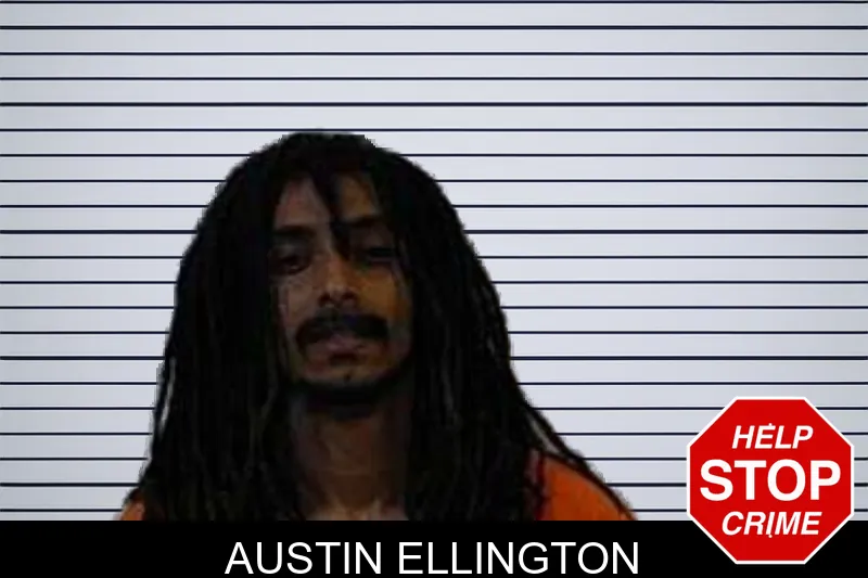 Austin Ellington mugshot