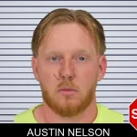 Austin Nelson mugshot