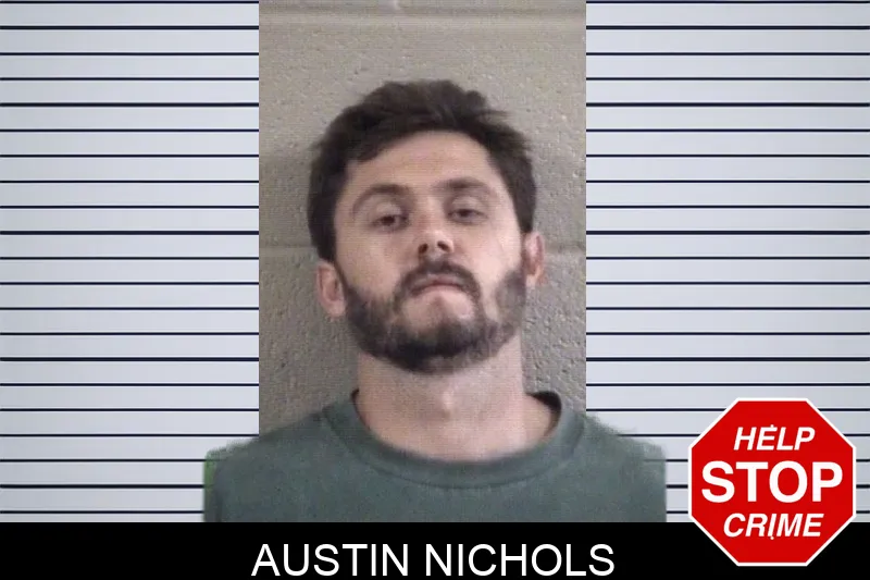 Austin Nichols mugshot