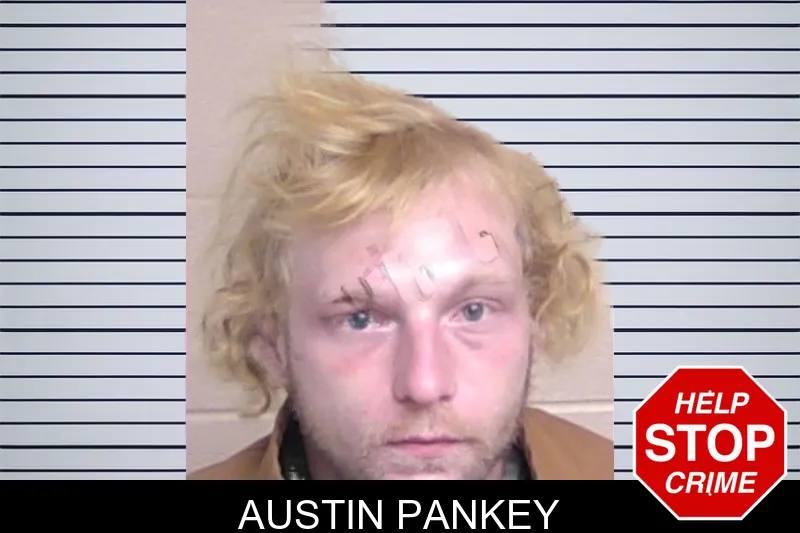 Austin Pankey mugshot