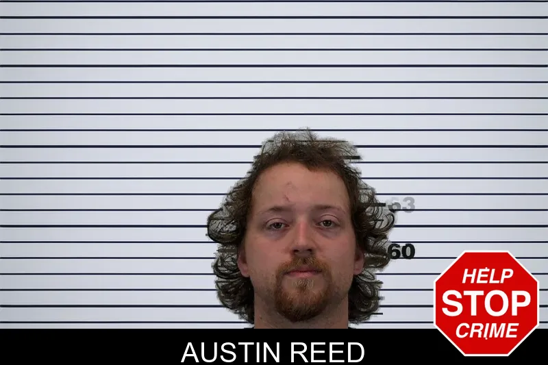 Austin Reed mugshot – Hart County , Georgia Austin Reed mugshot