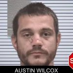 Austin Wilcox mugshot