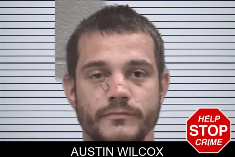 Austin Wilcox