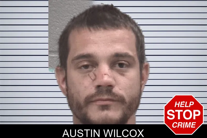Austin Wilcox mugshot