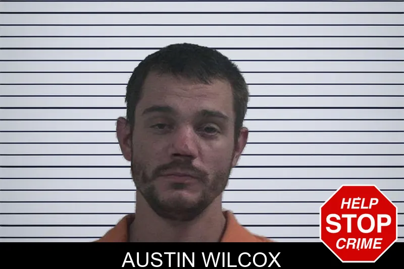 Austin Wilcox mugshot