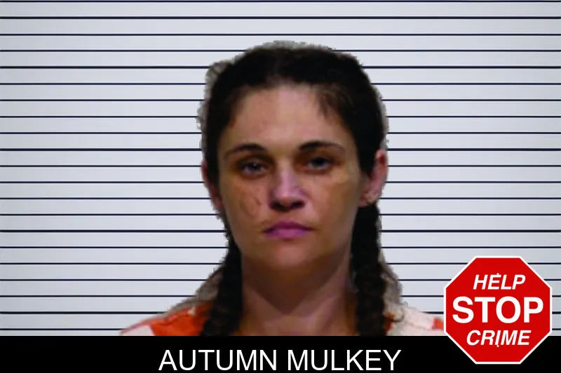 Autumn Mulkey mugshot – Bartow County , Georgia Autumn Mulkey mugshot