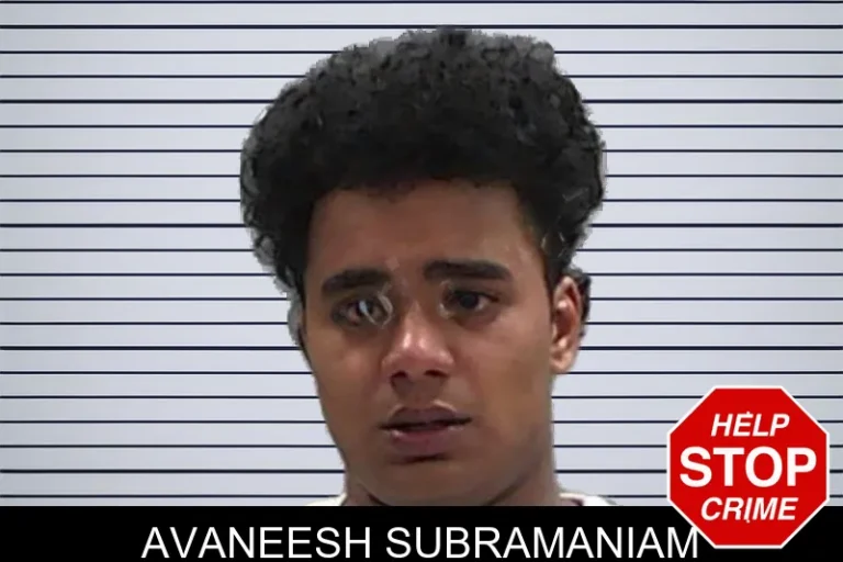 Avaneesh Subramaniam