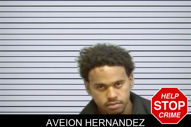 Aveion Hernandez mugshot