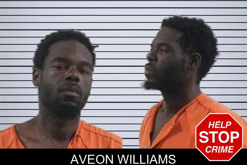 Aveon Williams mugshot – Houston County , Georgia Aveon Williams mugshot
