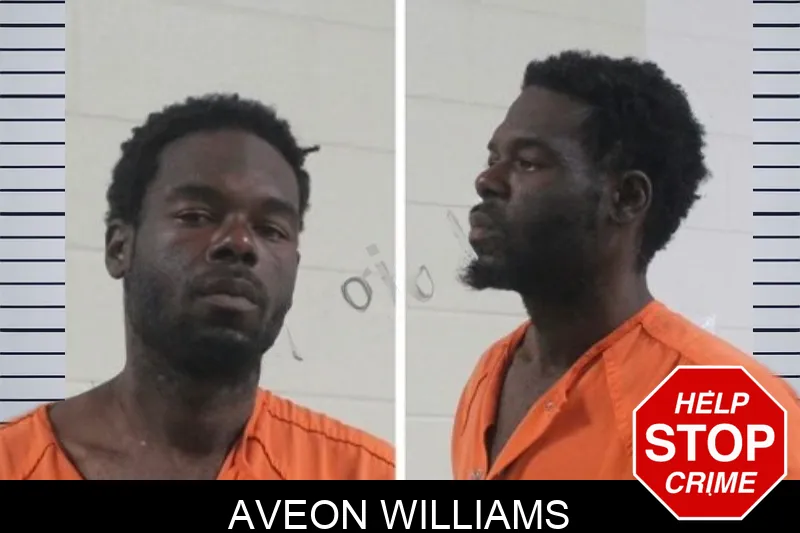 Aveon Williams mugshot – Houston County , Georgia Aveon Williams mugshot