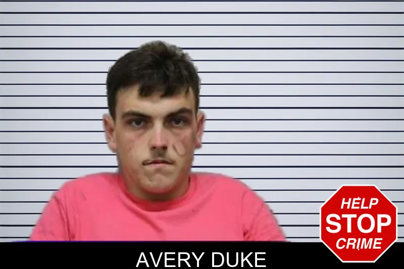 Avery Duke mugshot