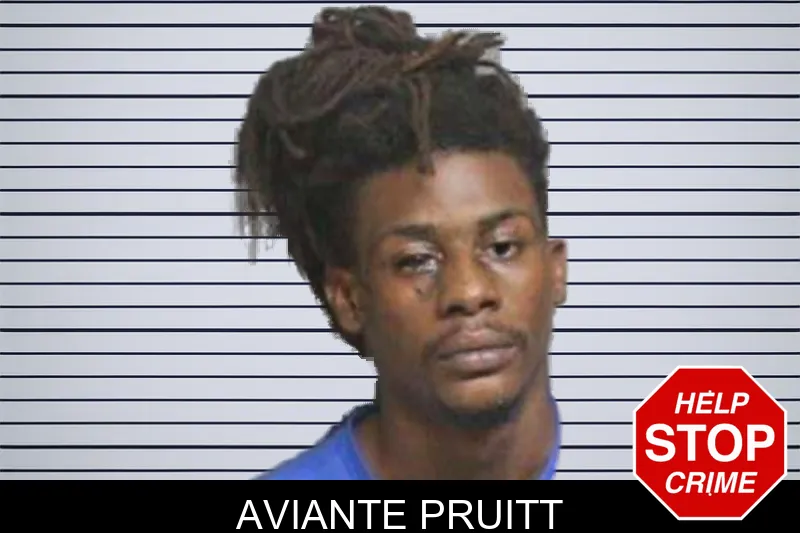 Aviante Pruitt mugshot – Bacon County , Georgia Aviante Pruitt mugshot