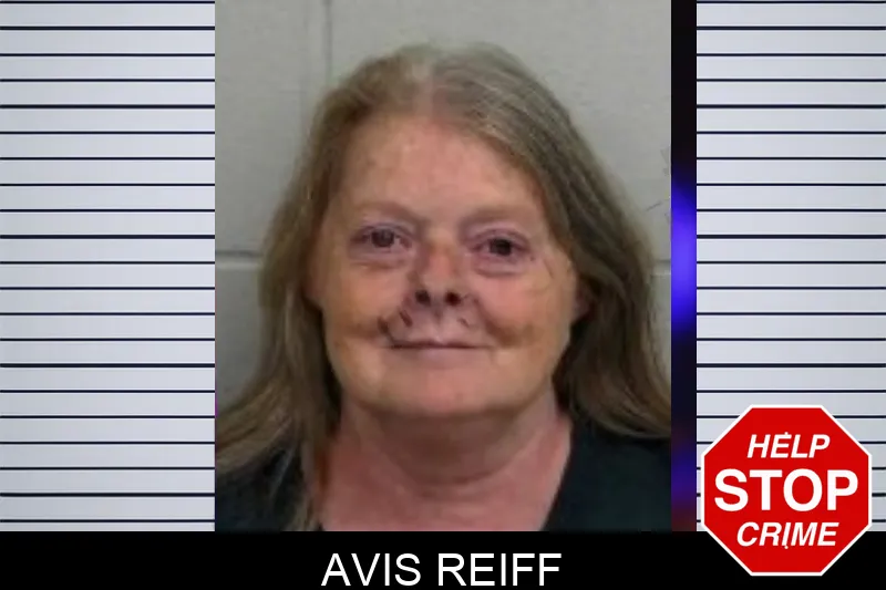 Avis Reiff mugshot – Jeff Davis County , Georgia Avis Reiff mugshot