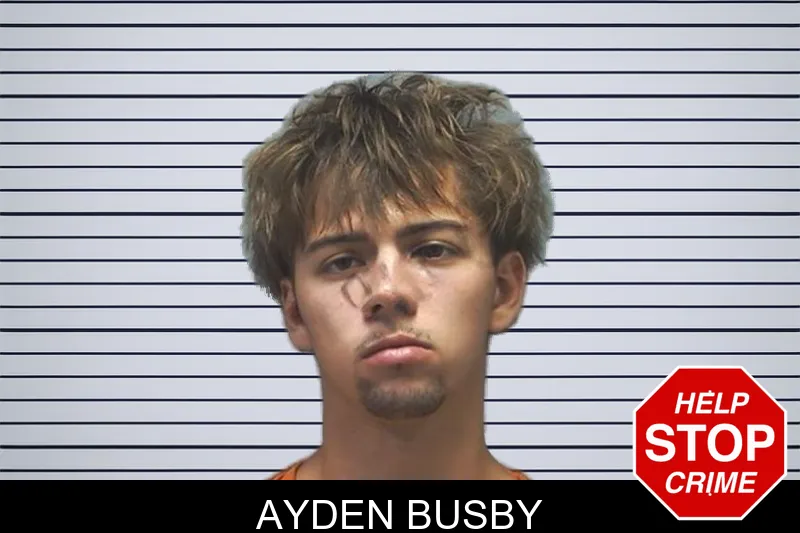 Ayden Busby mugshot – Cherokee County , Georgia Ayden Busby mugshot